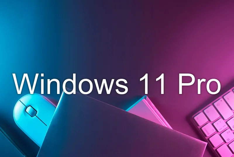 Windows 11 Pro